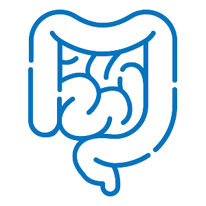 Digestive system icon showing several organs