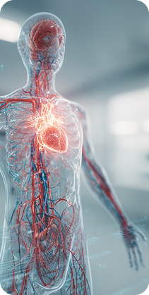 IA en cardiología: una nueva mirada al diagnóstico